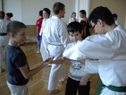 image-6590