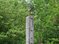 image-5788
