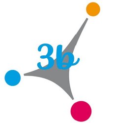 3b